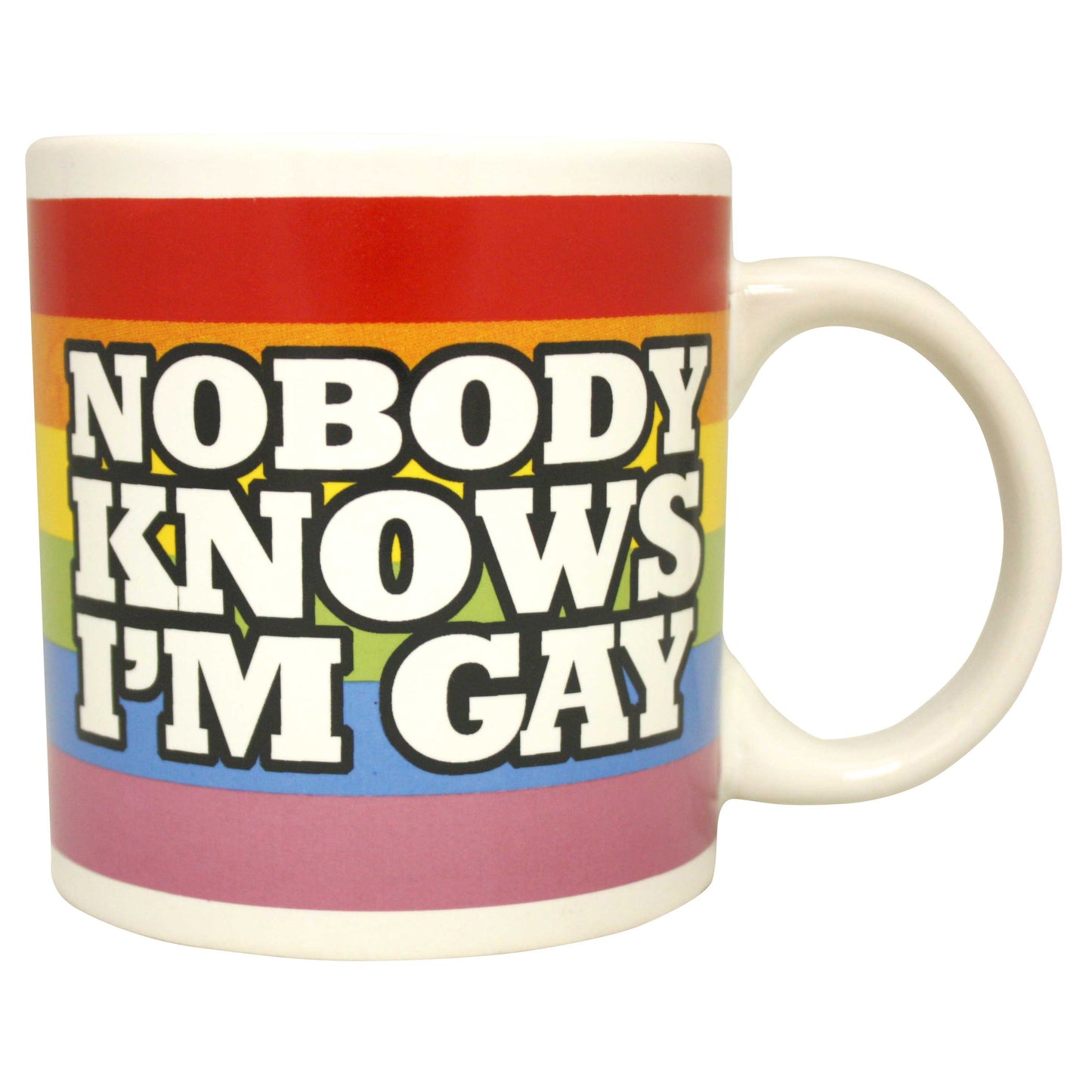 Giant 22 oz Nobody Knows I'm Gay Novelty Coffee Mug