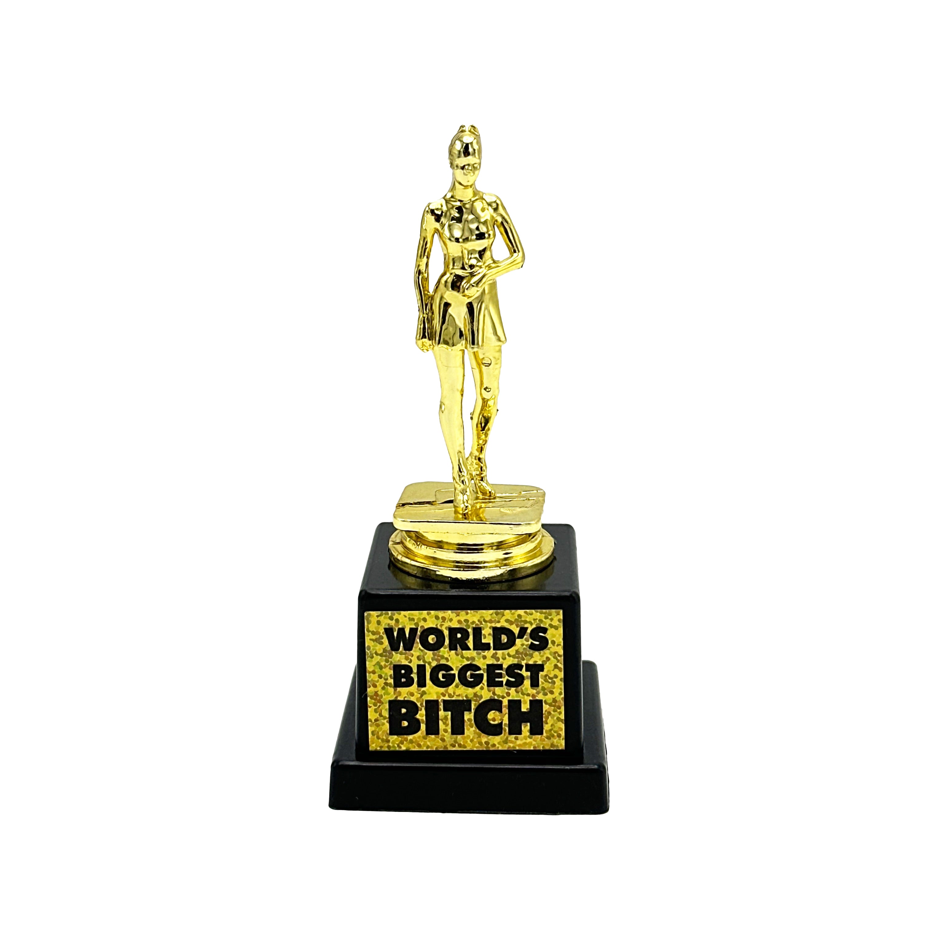thumbnail image 2 of World's Biggest Piece Of Sh*t Trophy - Hilarious Gag Gift For Pranks, Parties & Funny Awards 2 of 10