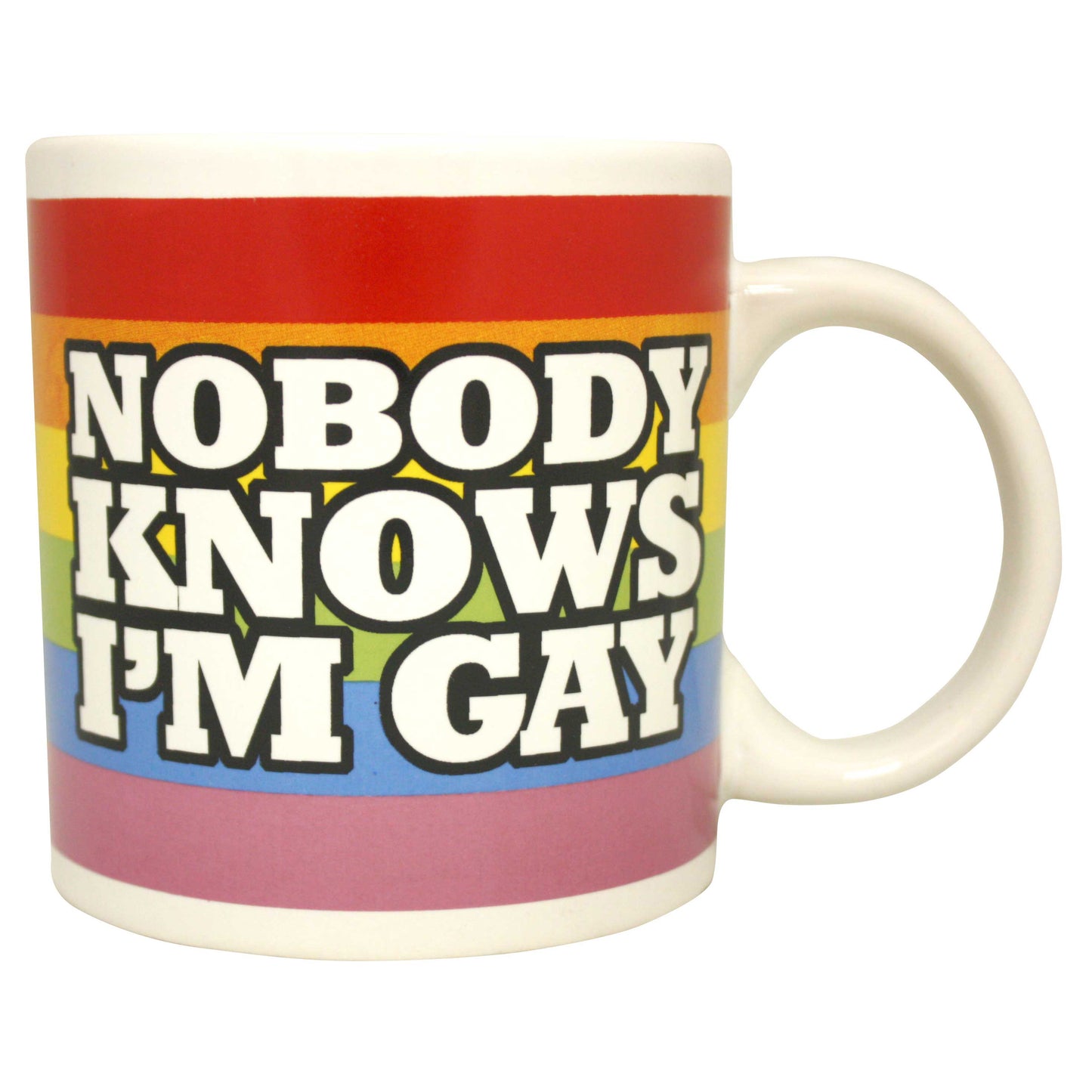 Giant Nobody Knows I'm Gay Mug
