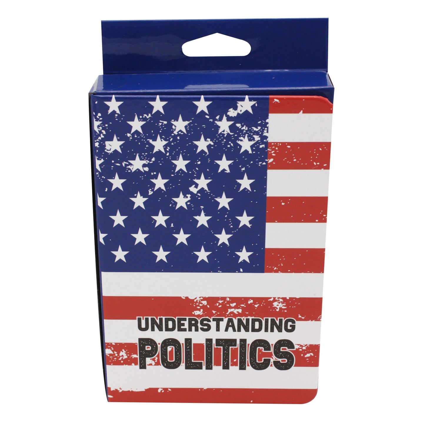 Understanding Politics Book Flask