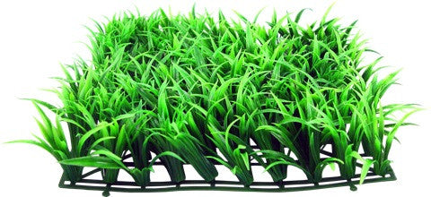 Plain Grass Patch